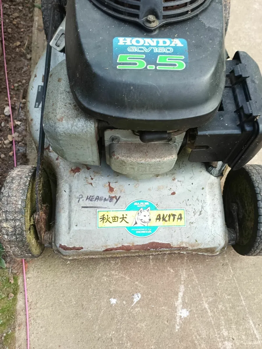 Lawnmower engine - Image 3