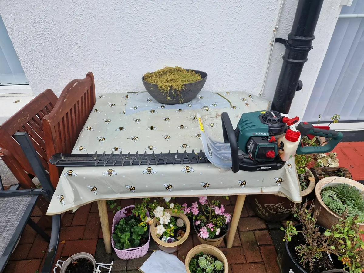 Petrol Garden tools - Image 2