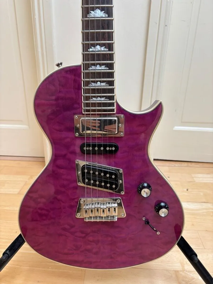 Epiphone Custom Reissue Nighthawk + Hard Case - Image 1