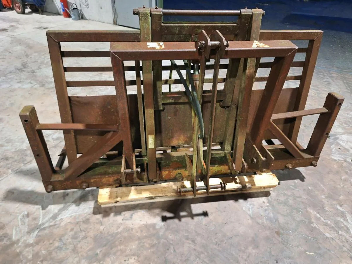 Wylie Buckrake - Image 2