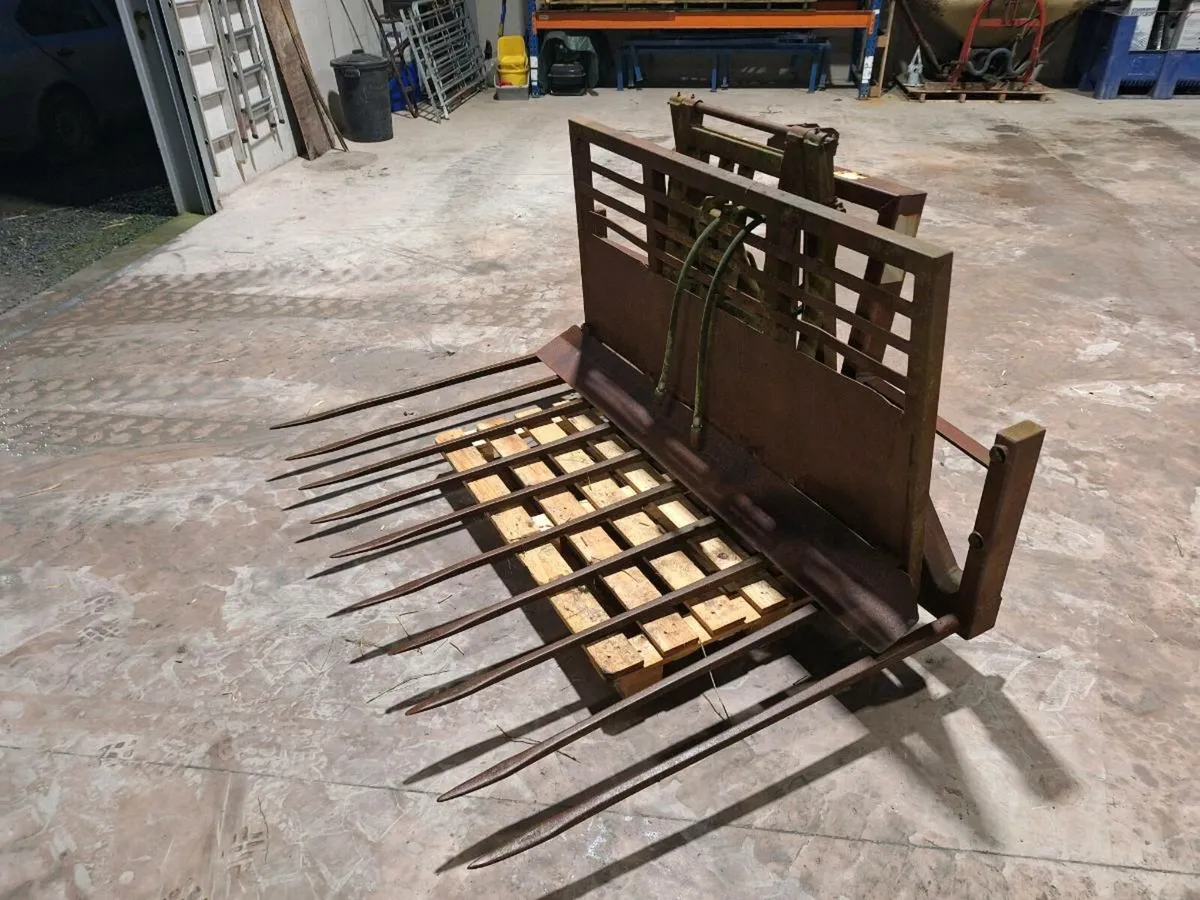 Wylie Buckrake - Image 3