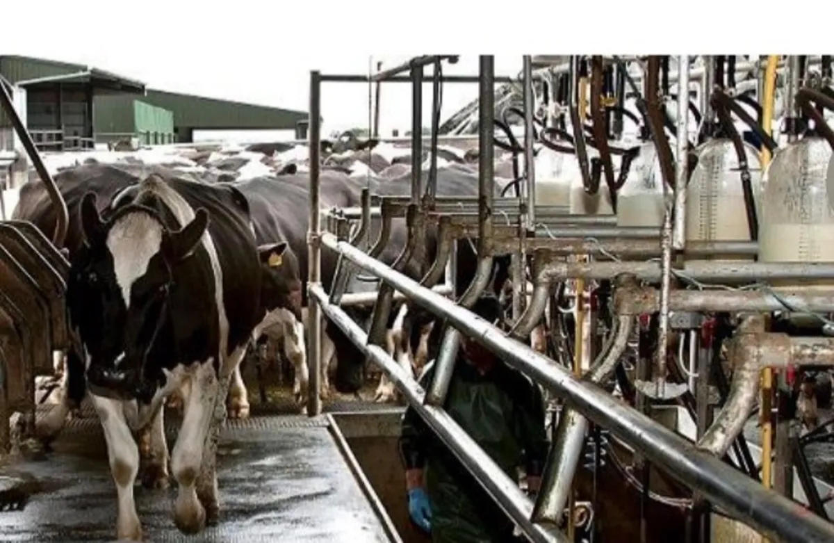 Farm worker available relocate - Image 1