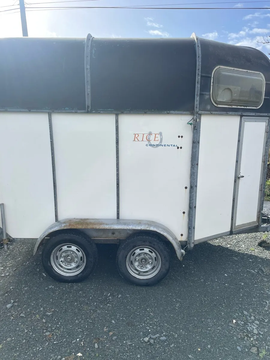 Rice horse box - Image 2
