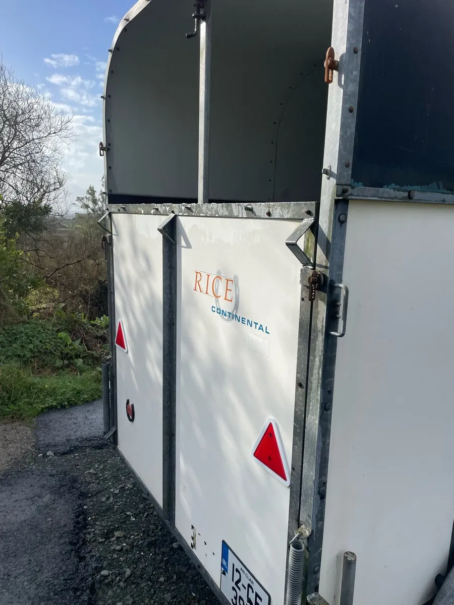 Rice horse box - Image 3