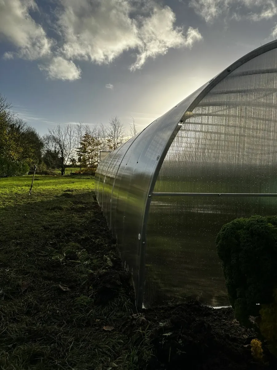 3x10m Greenhouse for Sale - Image 2