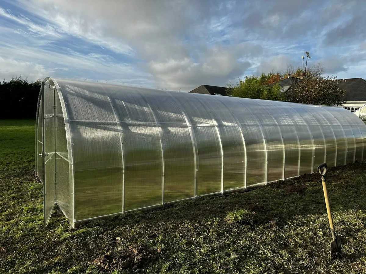 3x10m Greenhouse for Sale - Image 4