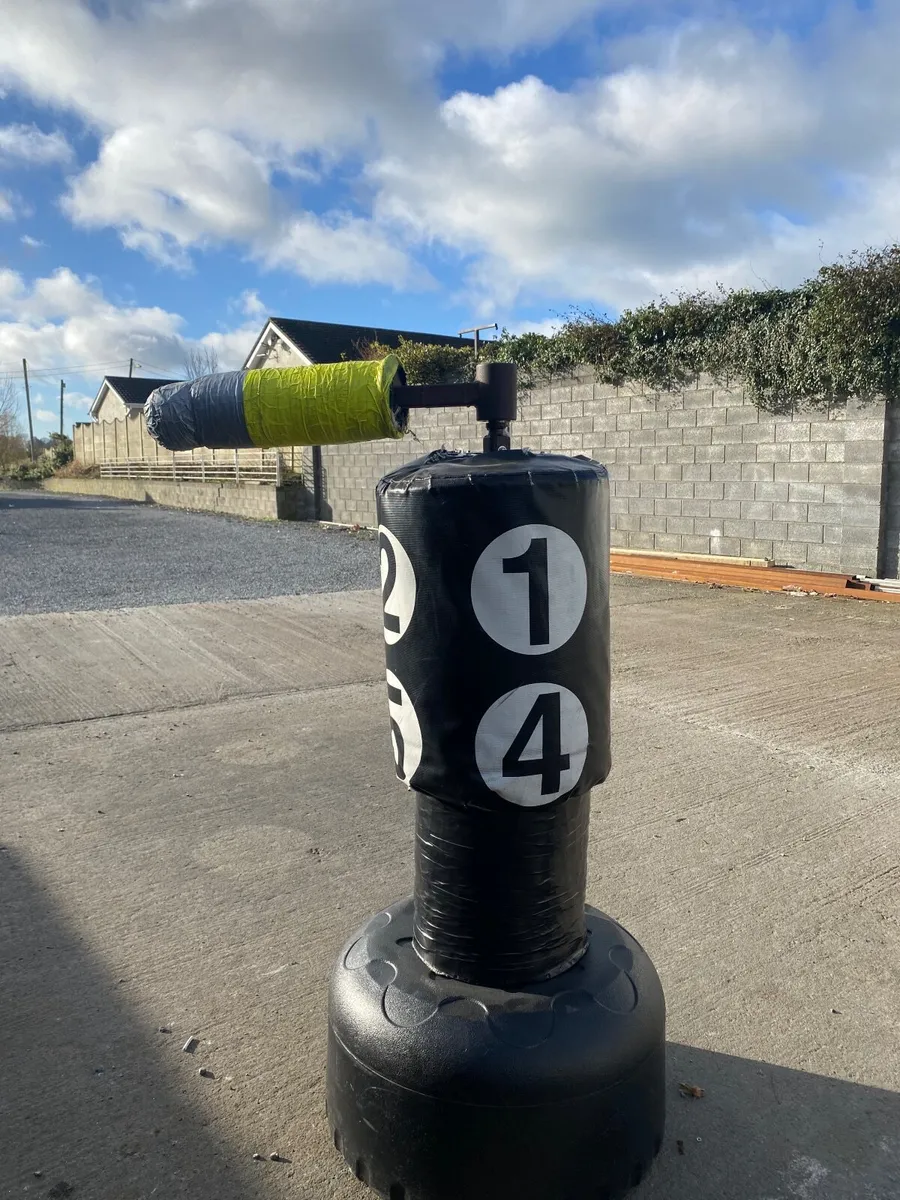 Boxing and kicking swivel free standing bag - Image 2