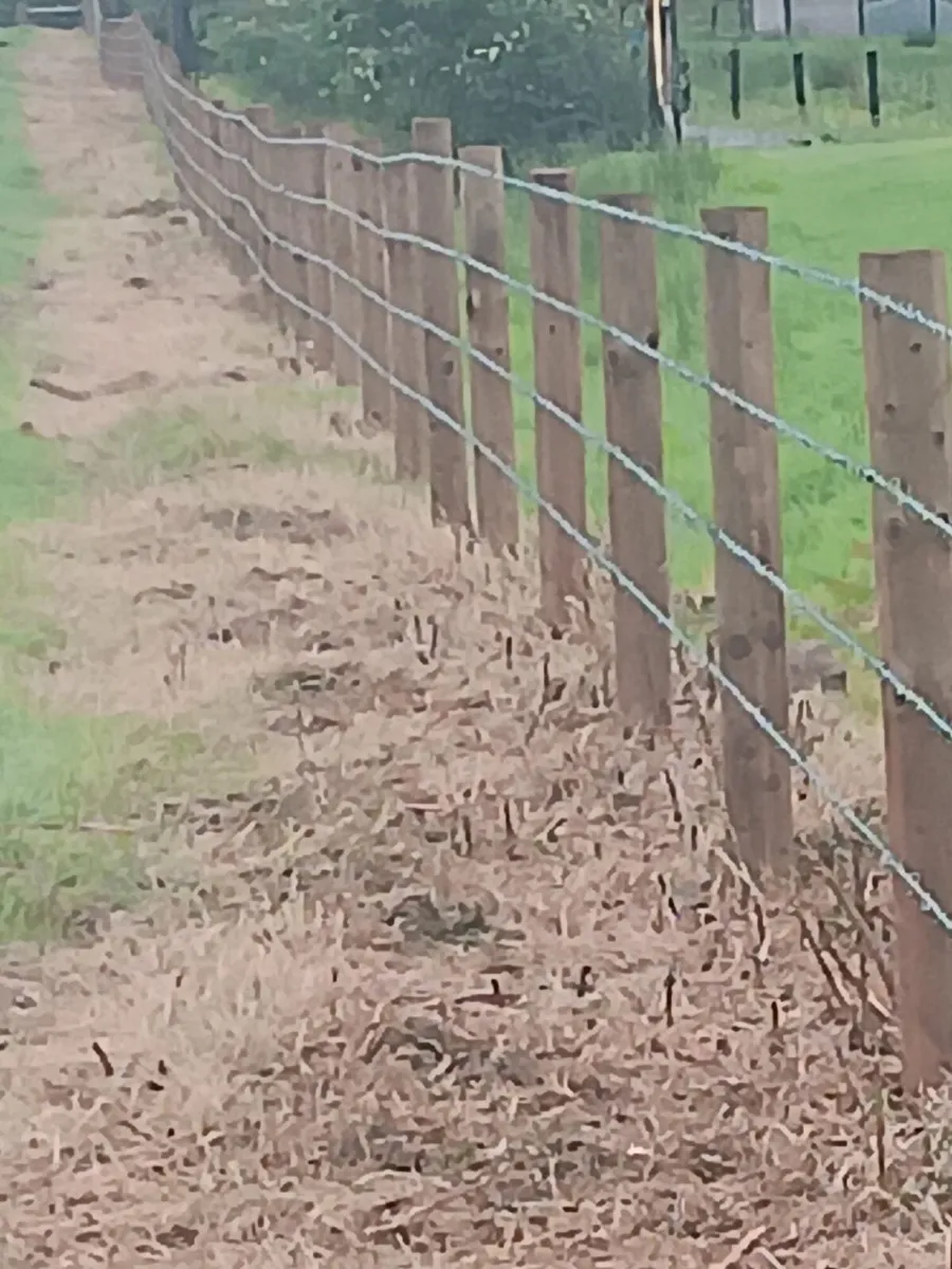 Fencing Contractor - Image 3