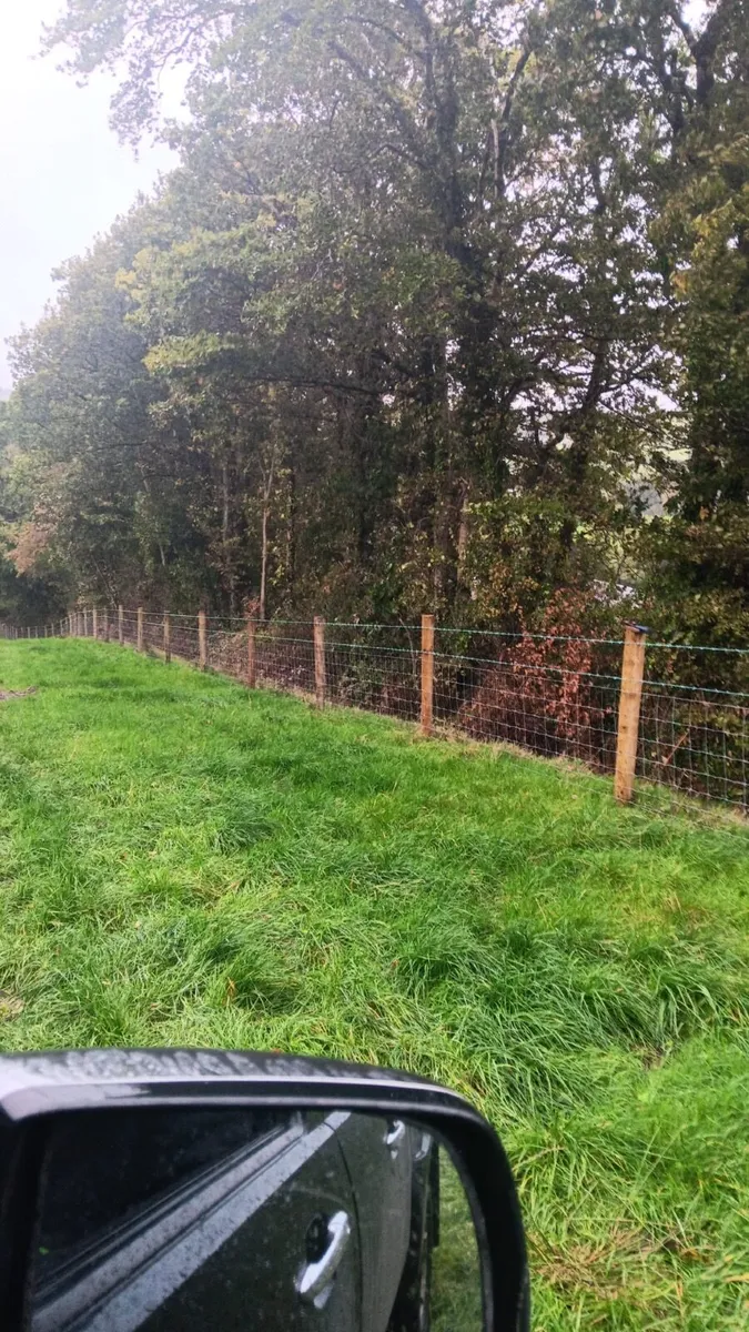 Fencing Contractor - Image 4