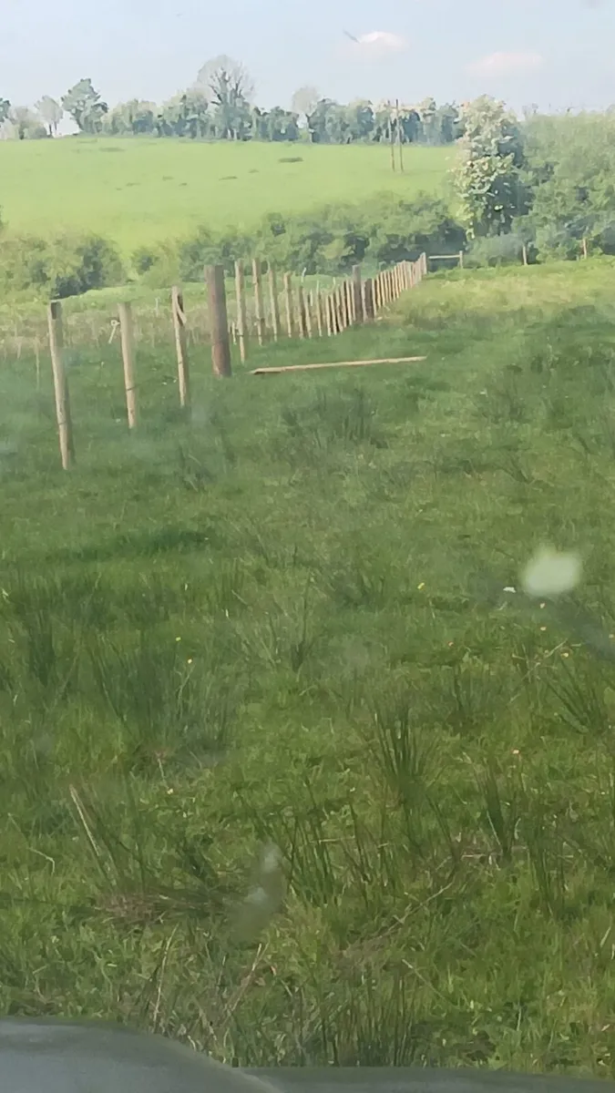 Fencing Contractor - Image 2