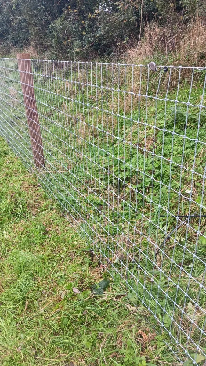 Fencing Contractor - Image 1