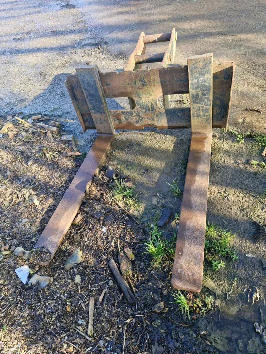 Excavator forks - Image 1