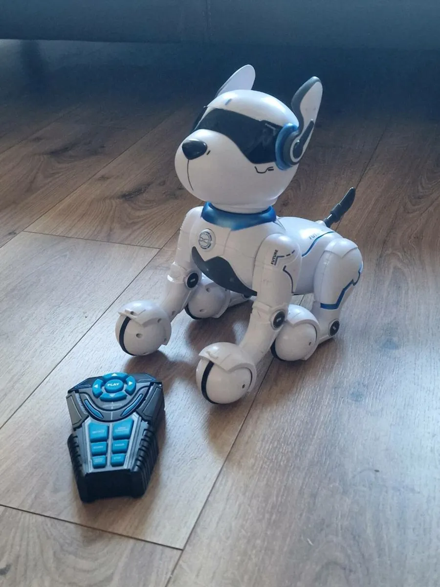 Robot dog