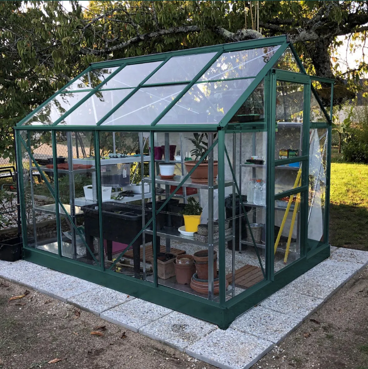 Glasshouse / Greenhouse 8x6ft - Image 1