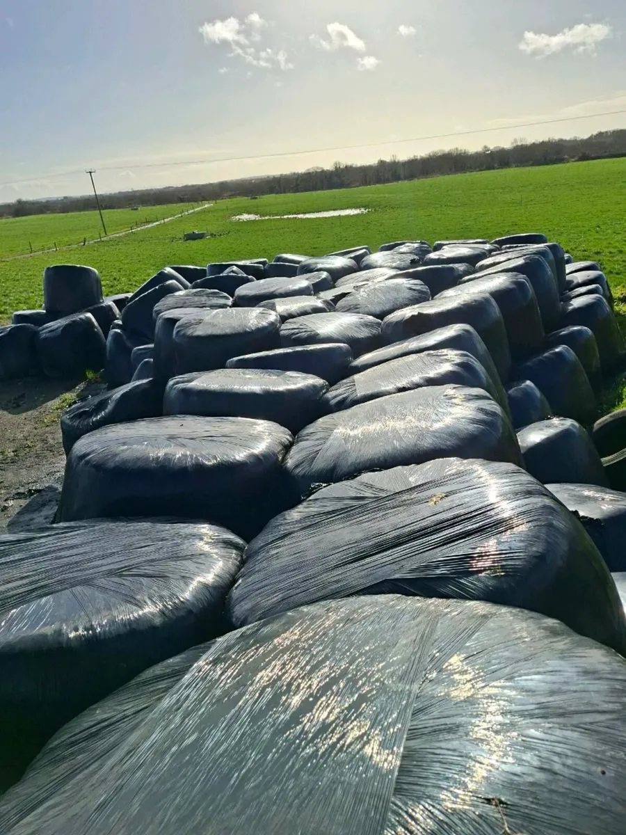 60 silage bales