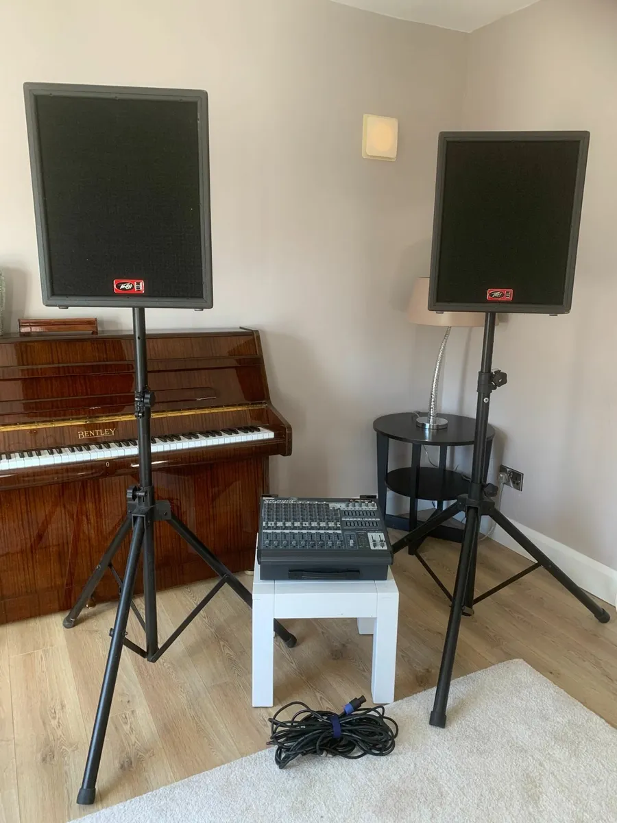 Full Peavay PA System - Image 1