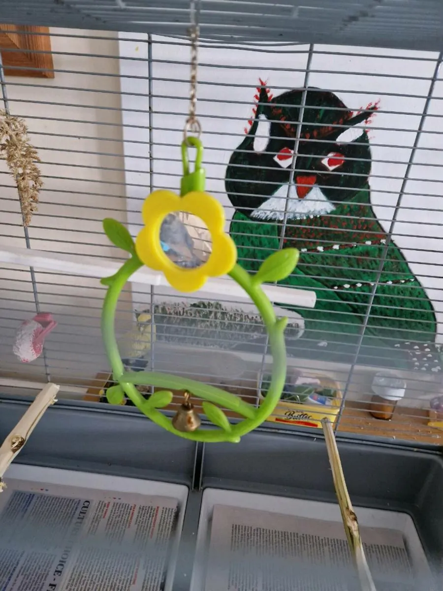 Bird cage . - Image 1