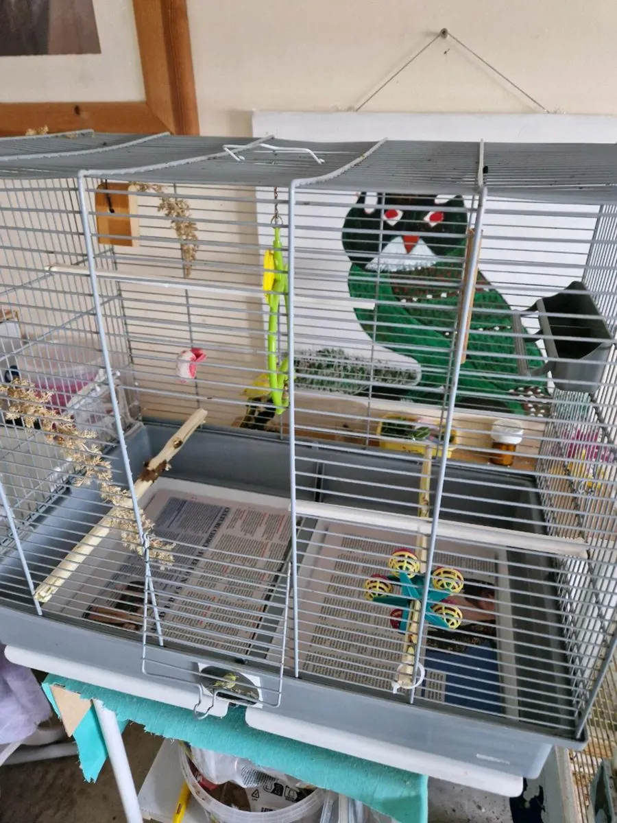 Bird  cage and food . - Image 3