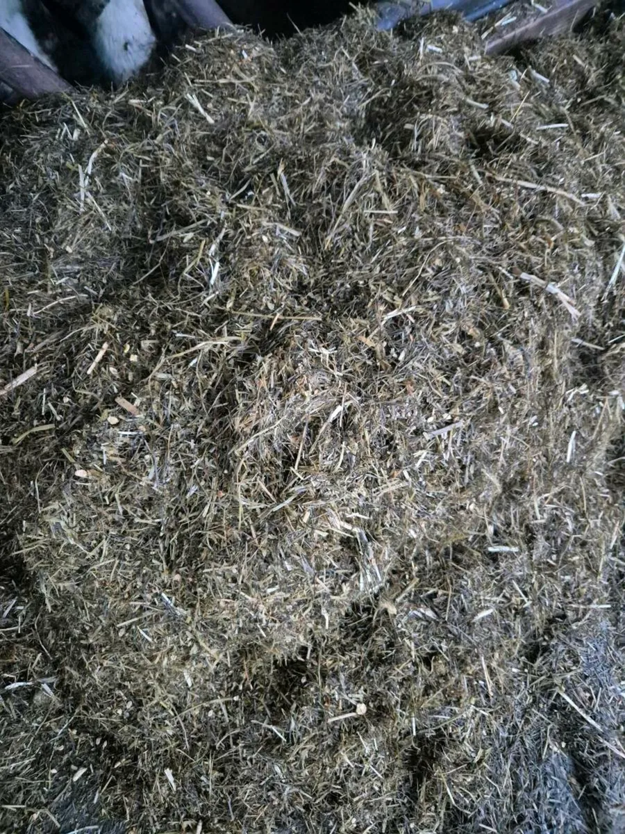 Silage - Image 1