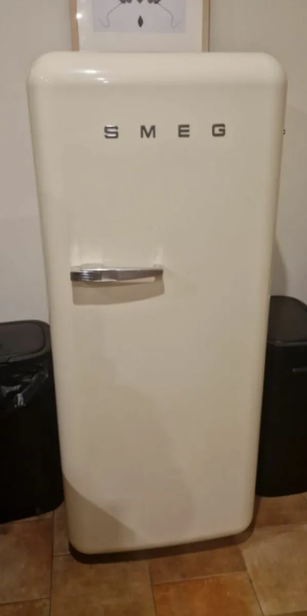 Country Style Kitchen with Premium Appliances - Image 4