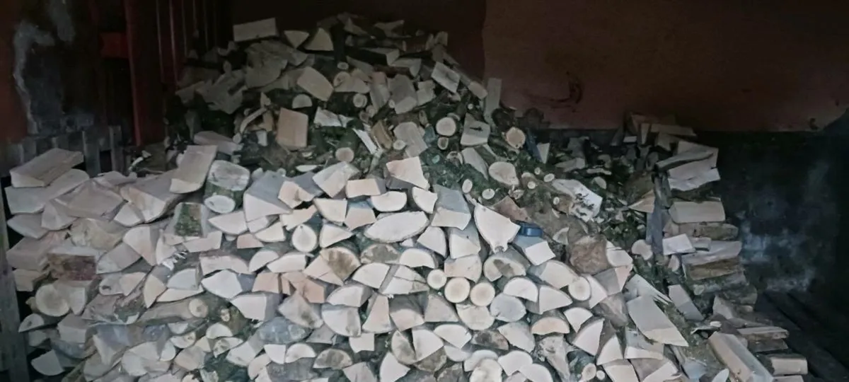 Ash hardwood firewood bags - Image 3