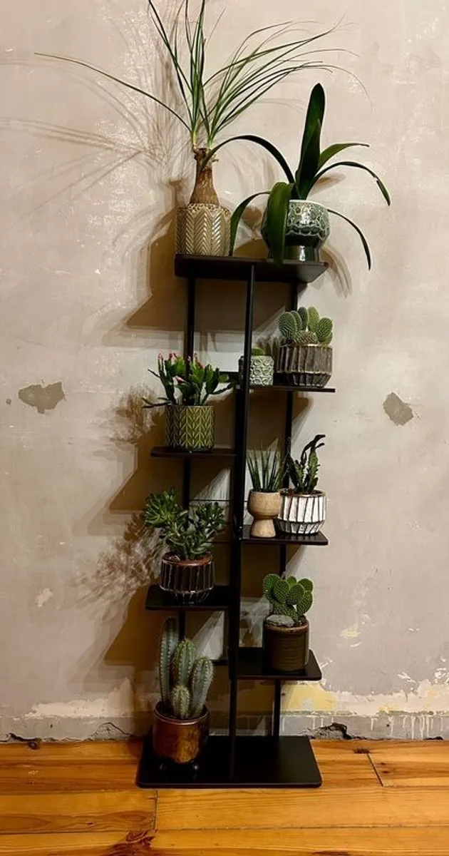 plant display shelving - Image 2