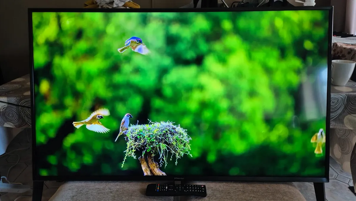Hisense 50" 4K Smart TV - Image 4