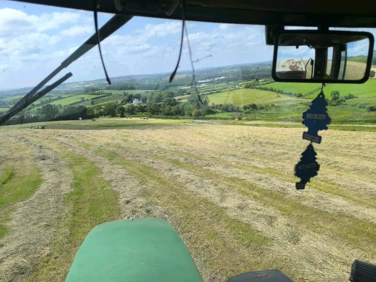 Silage bales - Image 3