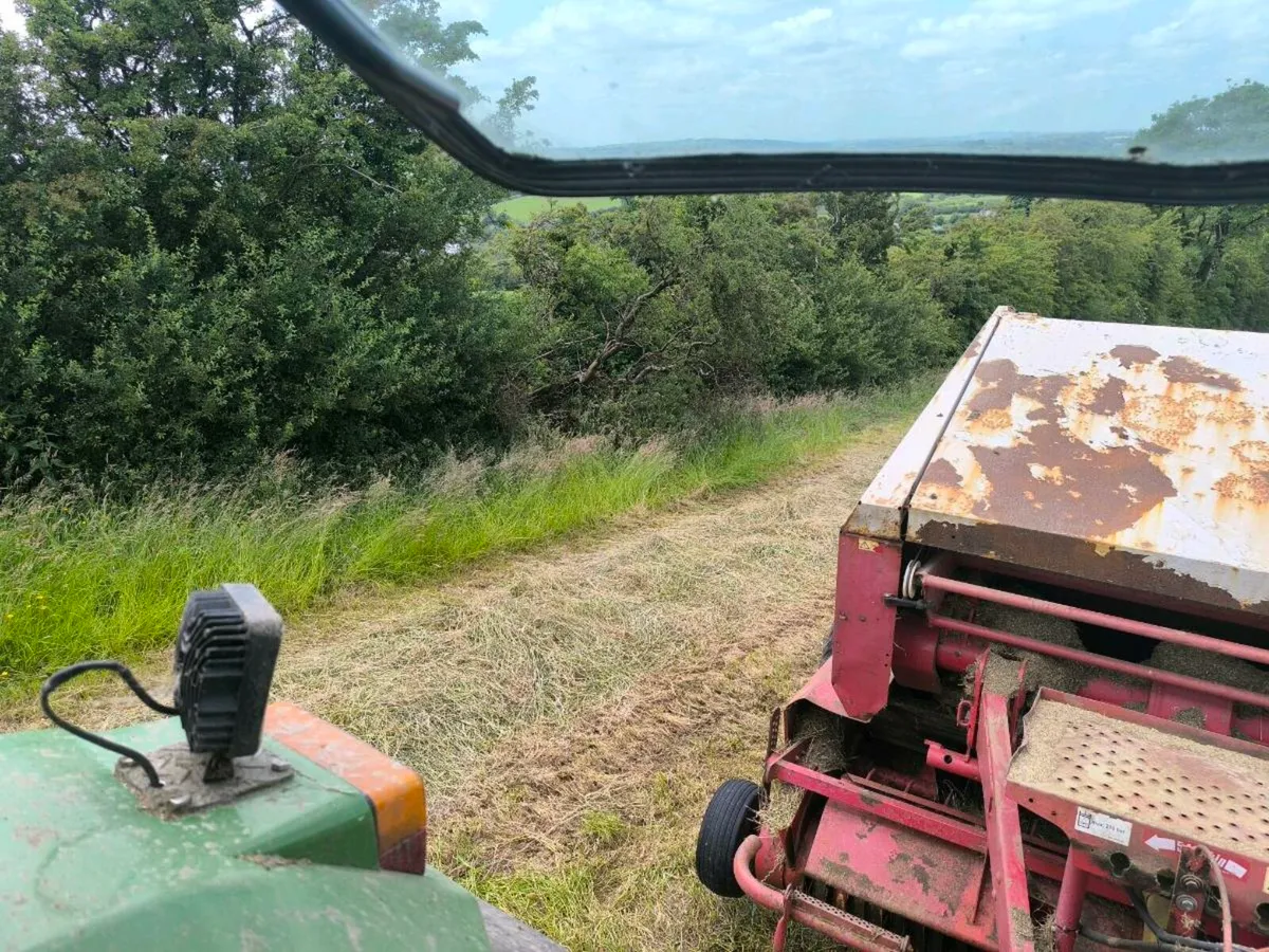 Silage bales - Image 1