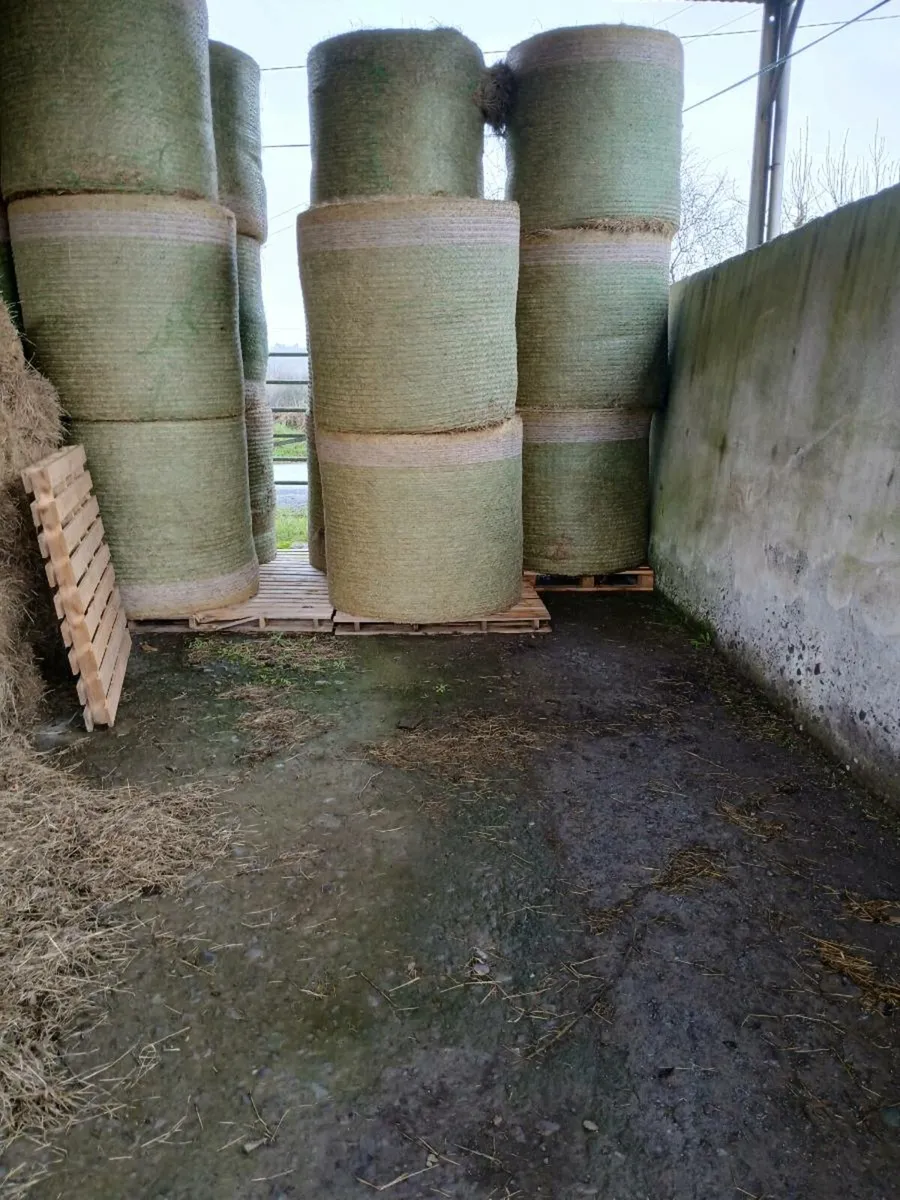 Baled Hay and Baled Silage - Image 2