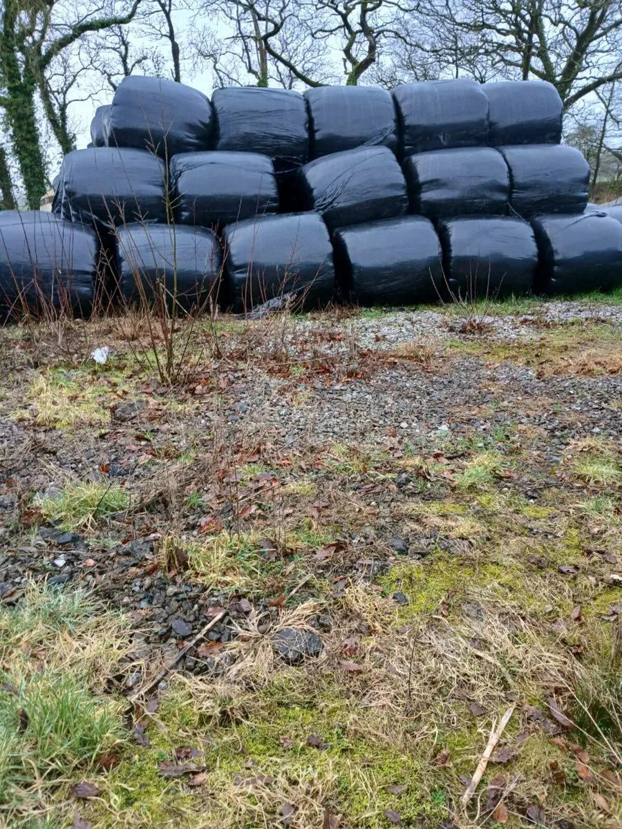 Baled Hay and Baled Silage - Image 1