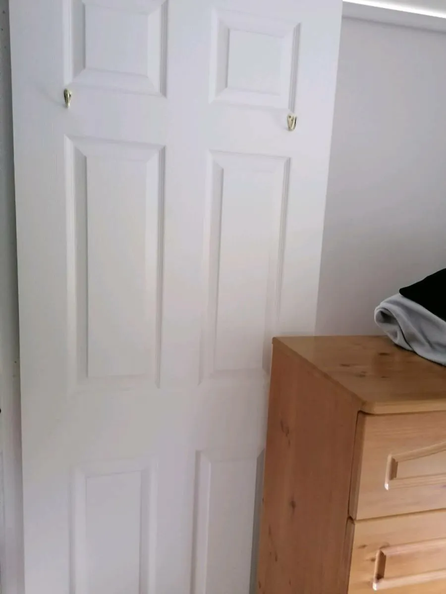 Internal Door White Panelled