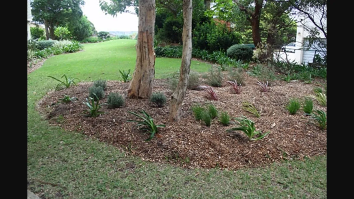 Mulch - Image 4