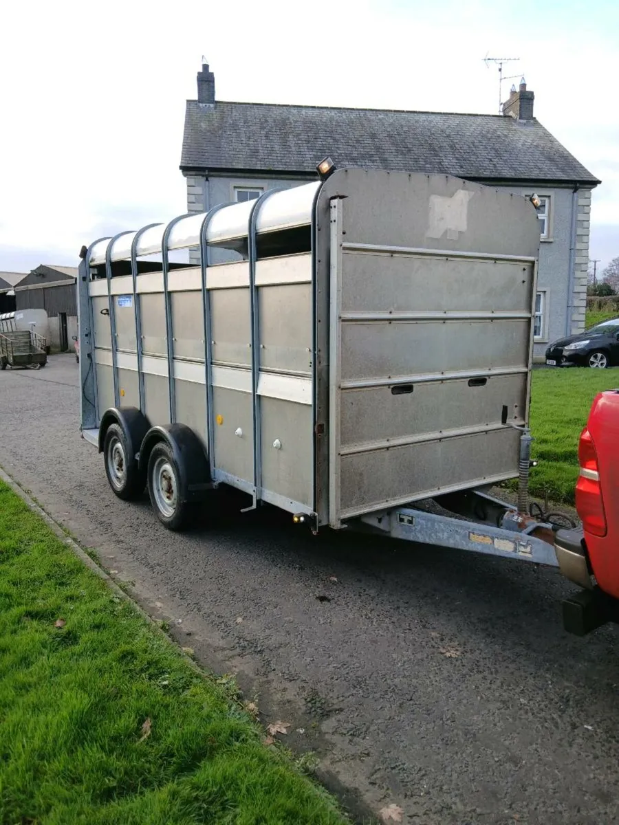 12ft ifor williams cattle trailer - Image 1