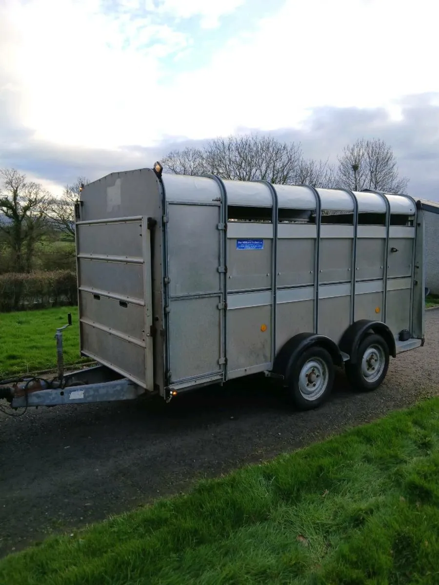 12ft ifor williams cattle trailer - Image 2