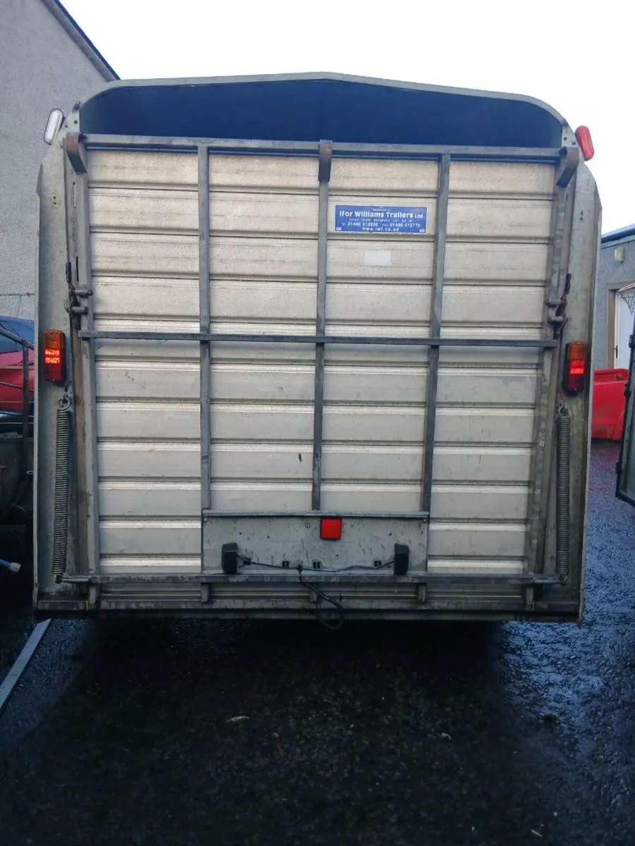 12ft ifor williams cattle trailer - Image 3