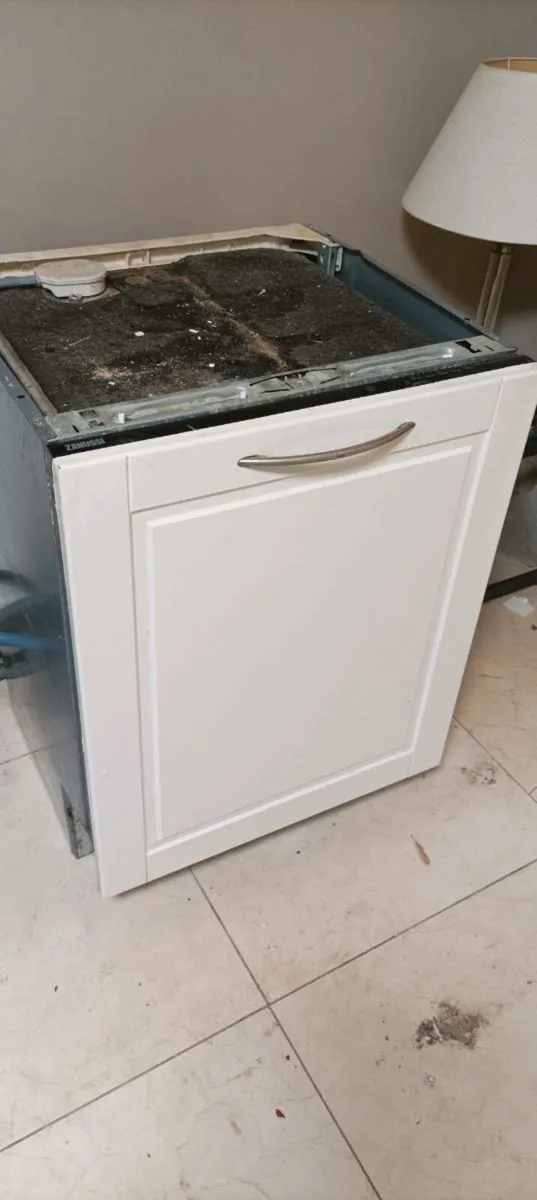 Integrated Zanussi dish washer