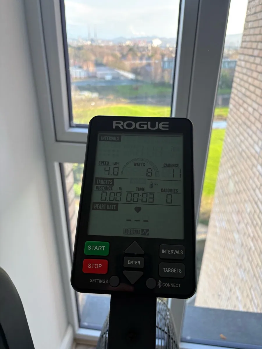 Rogue ECHO Assault Bike 3.0 - Image 3