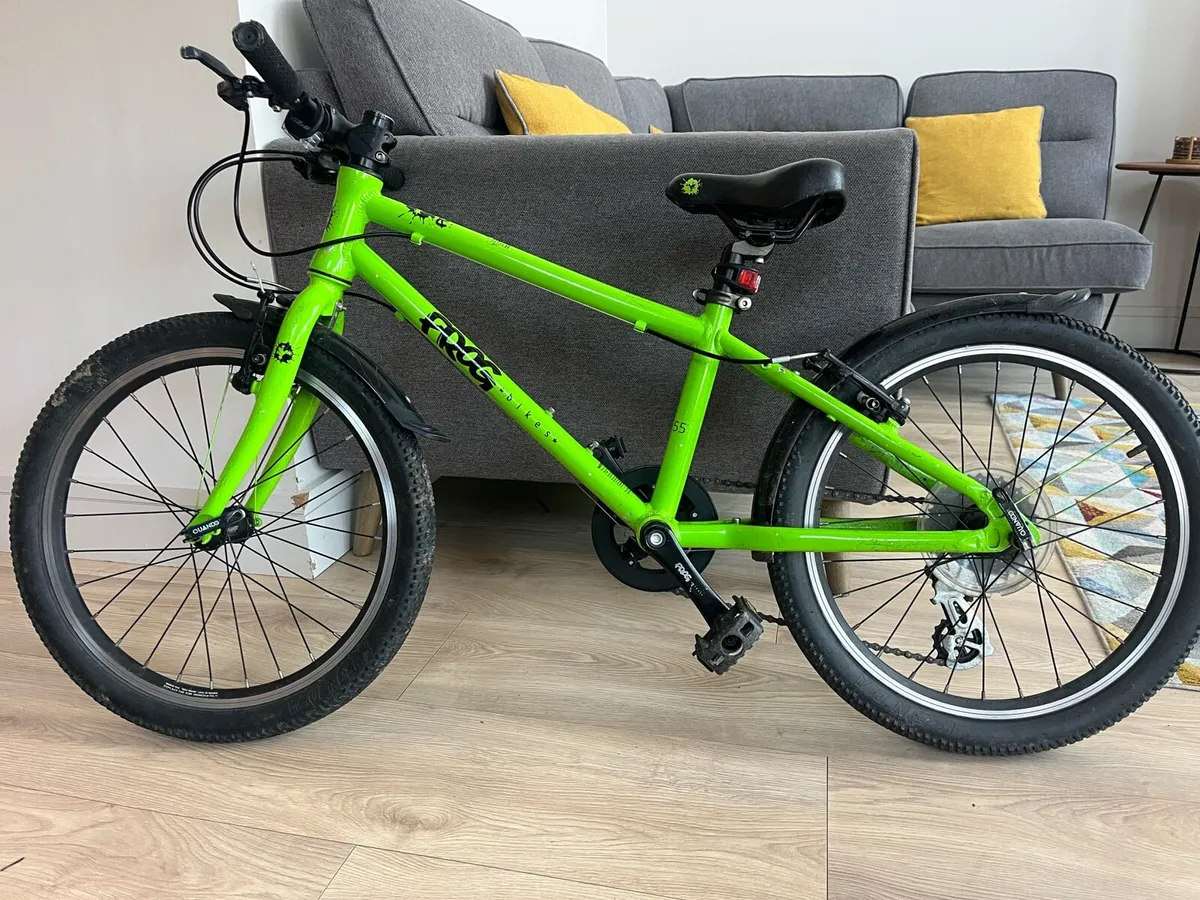 Frog Bike 55 (green) - Image 1