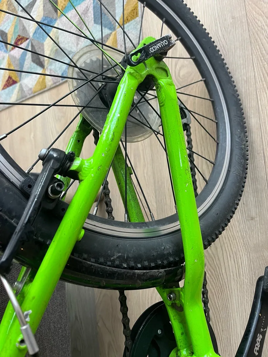 Frog Bike 55 (green) - Image 4