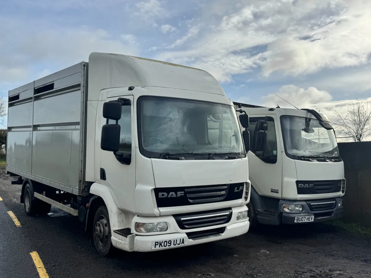 07 & 09 DAF 45s, 2 x Cattle Trucks****** - Image 3