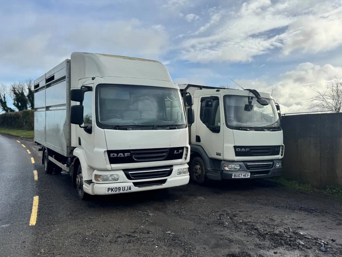 07 & 09 DAF 45s, 2 x Cattle Trucks****** - Image 1