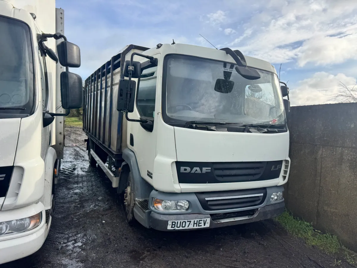 07 & 09 DAF 45s, 2 x Cattle Trucks****** - Image 4