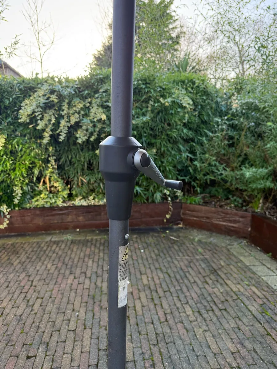 Platinum Parasol - Image 4