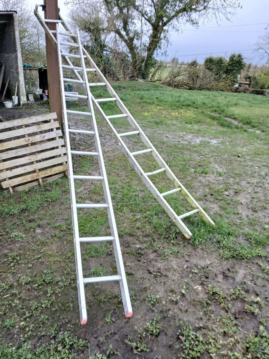 2 ladders - Image 2