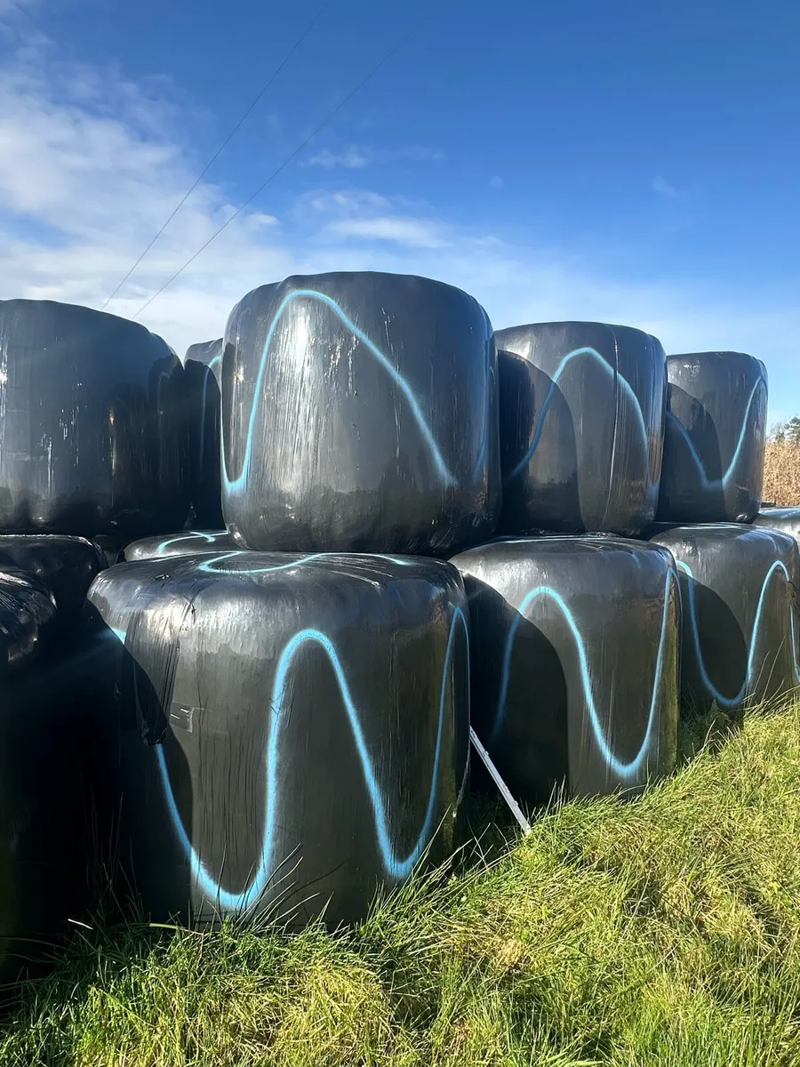 Silage - Image 1