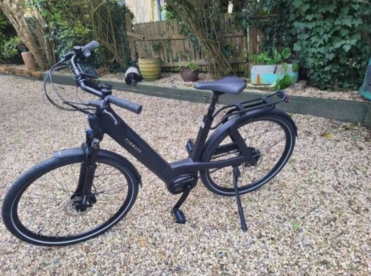 Electric bike - Image 1