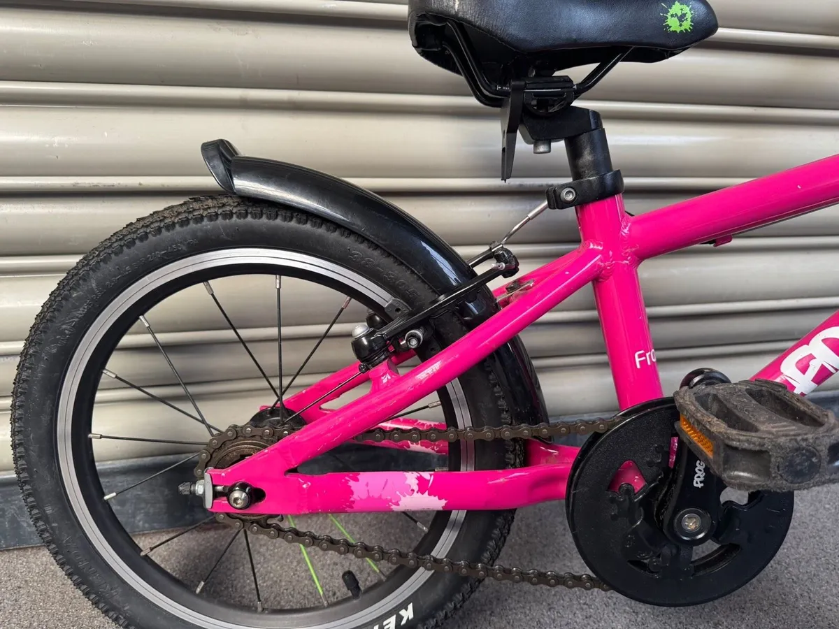 Frog Bike 48 - Image 1