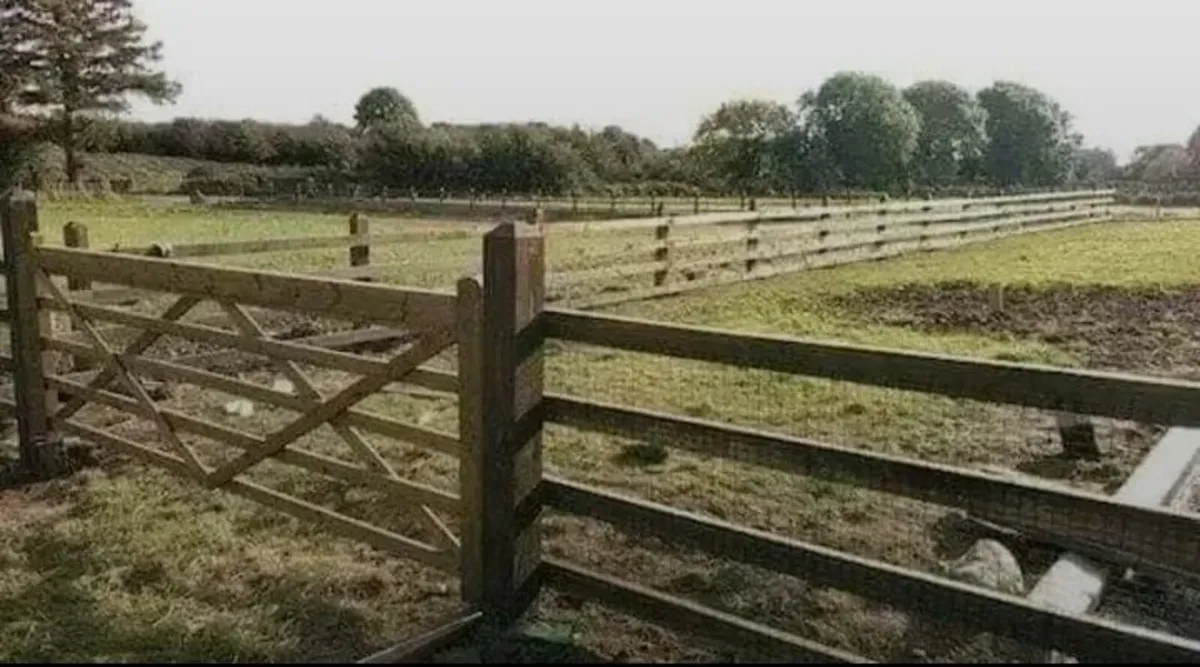 Fencing Gates Decking carpentry construction - Image 4