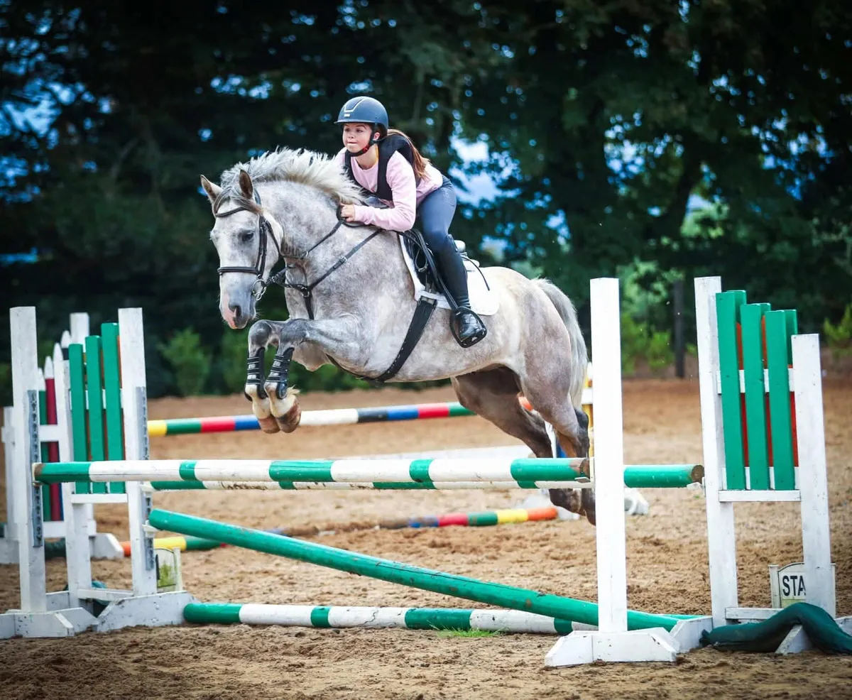 🌟 Super All-Rounder Type 🌟 - Image 1